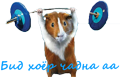 Хэрэглэгчийн аватар