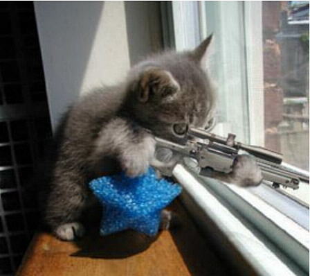 KATZE.jpg