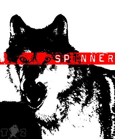 Sp1nner_2.jpg