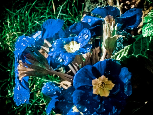 Ulemjka-3.jpg