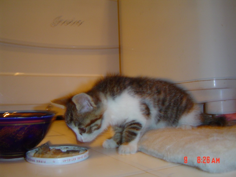 DSC00002.JPG