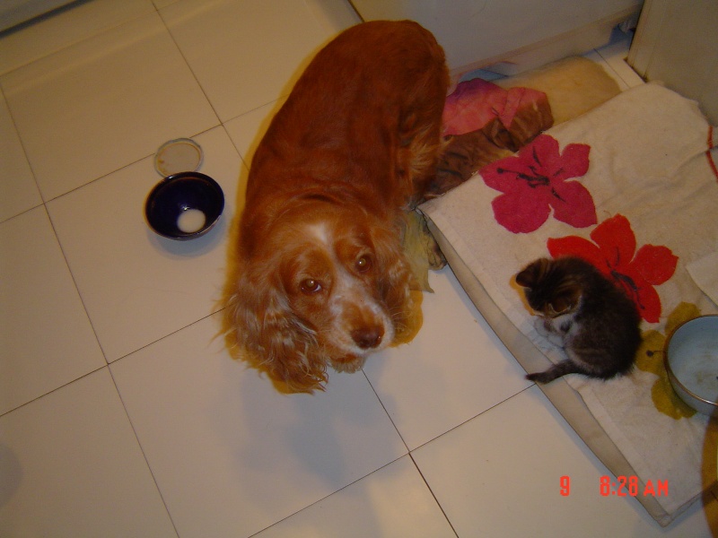 DSC00014.JPG