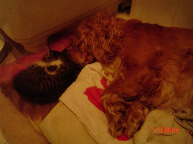 DSC00318.JPG