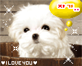 web_200408261452010387.gif