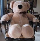 teddy bear.jpg
